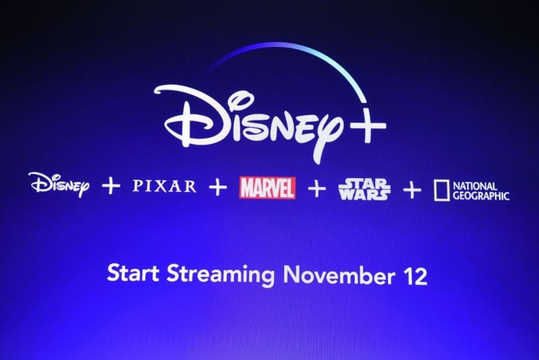 Screen showing Disney Plus logo