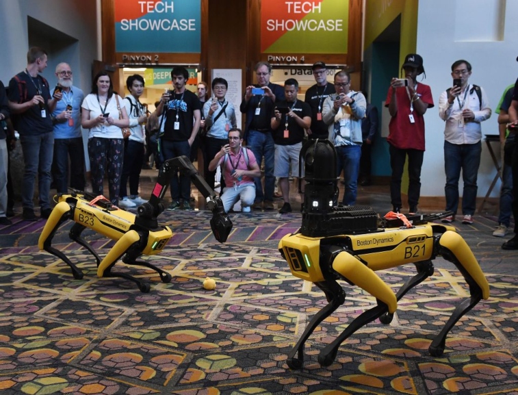 Robot dogs by Boston Dynamics