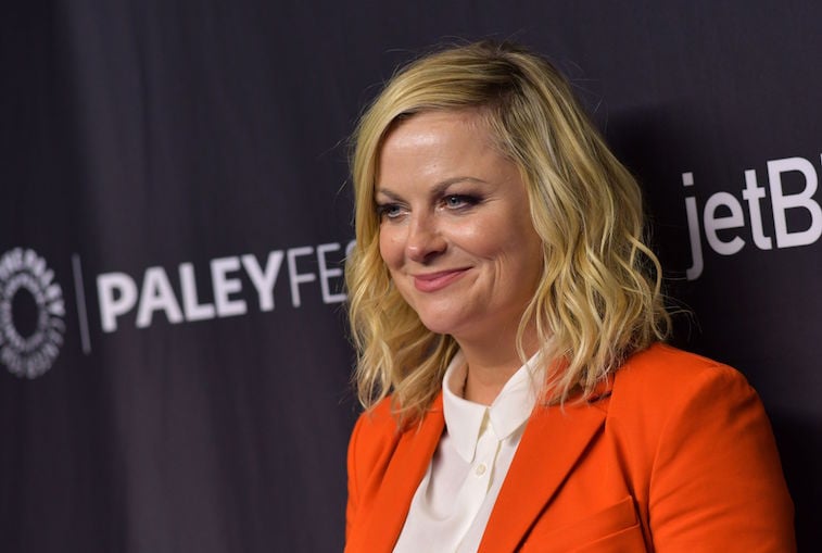 Amy Poehler on the red carpet