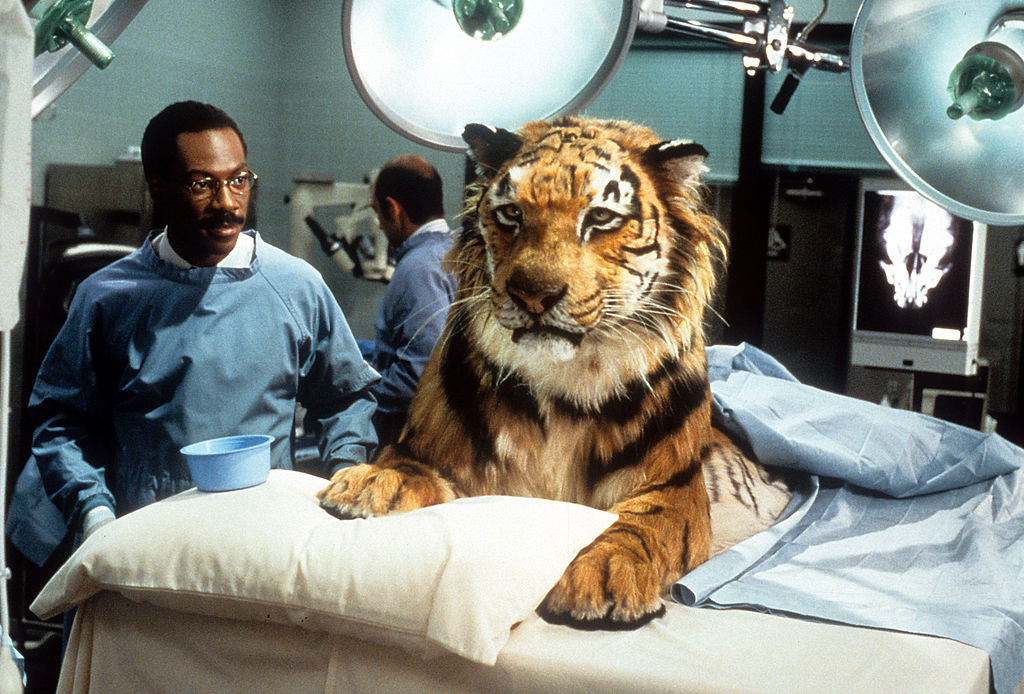 Eddie Murphy in 'Doctor Dolittle', 1998