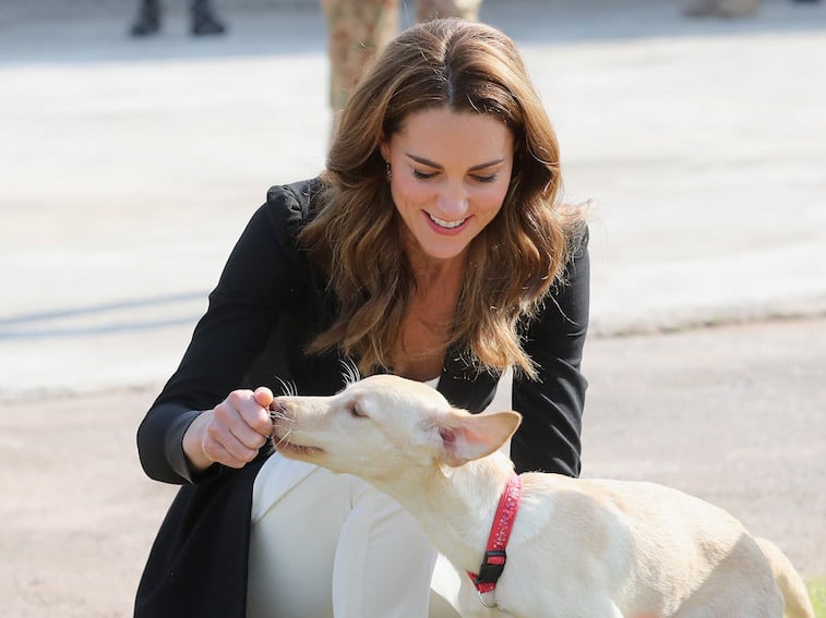 Kate Middleton feeding a dog a treat