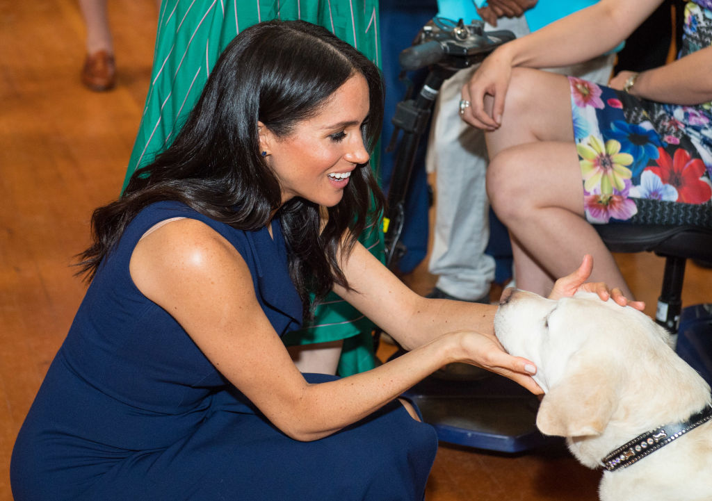 Meghan Markle dog