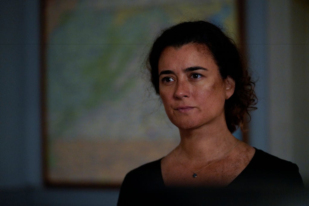 This ‘NCIS’ Star Was The Last to Know That Cote de Pablo’s Ziva Was Returning for Season 17