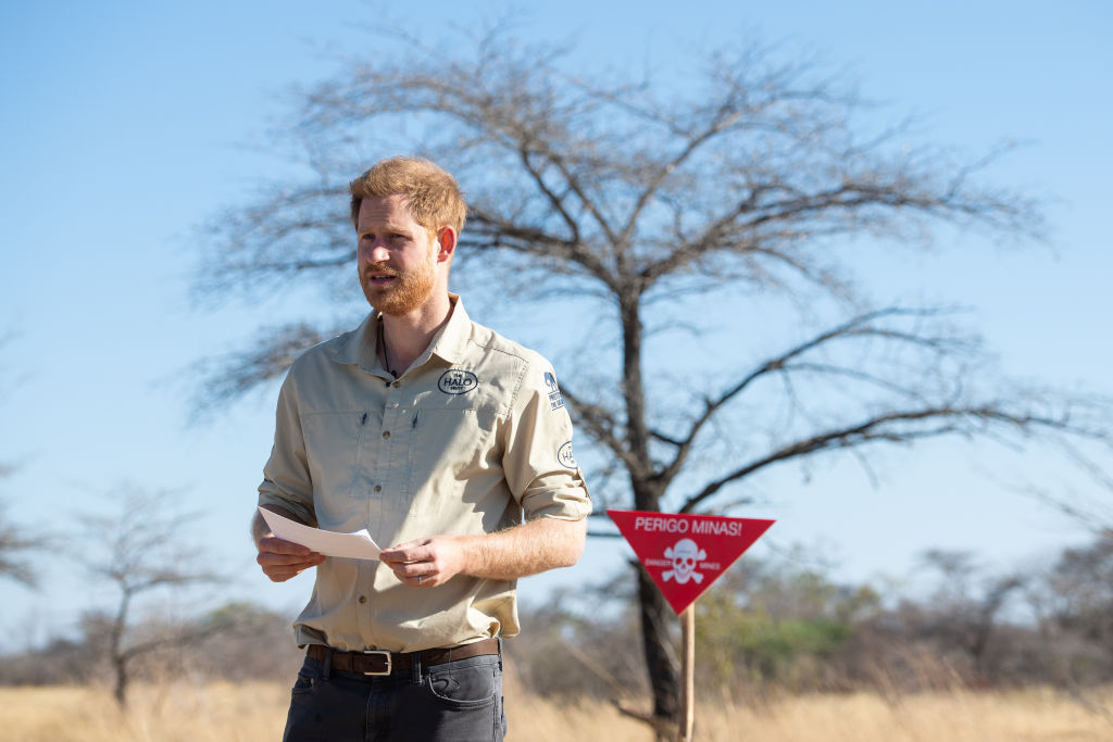 prince harry princess diana