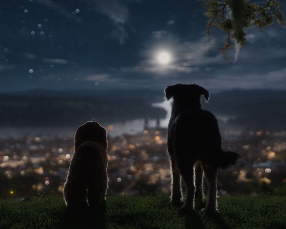 Lady and the Tramp in the moonlight