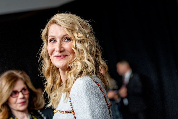 Laura Dern on the red carpet