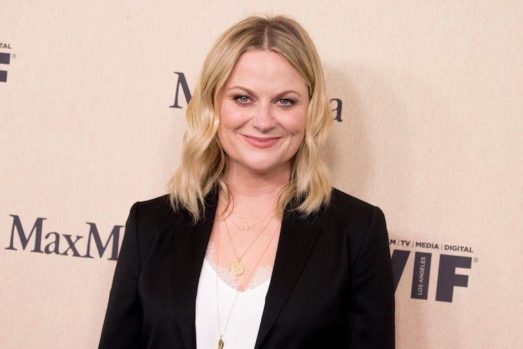 Amy Poehler on the red carpet