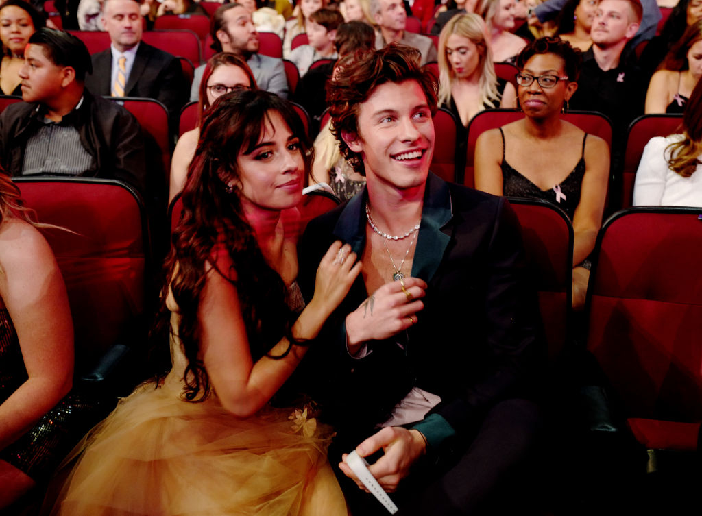 Camila Cabello and Shawn Mendes