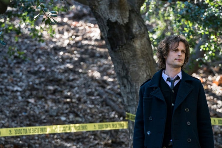 'Criminal Minds': Fans Weigh in on Why They Love Dr. Spen...