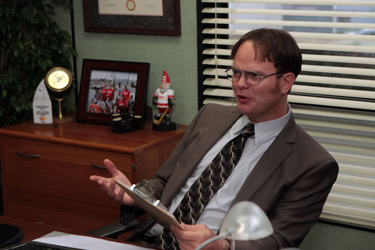 Rainn Wilson as Dwight Schrute on The Office