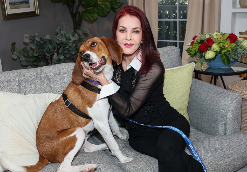 Priscilla Presley