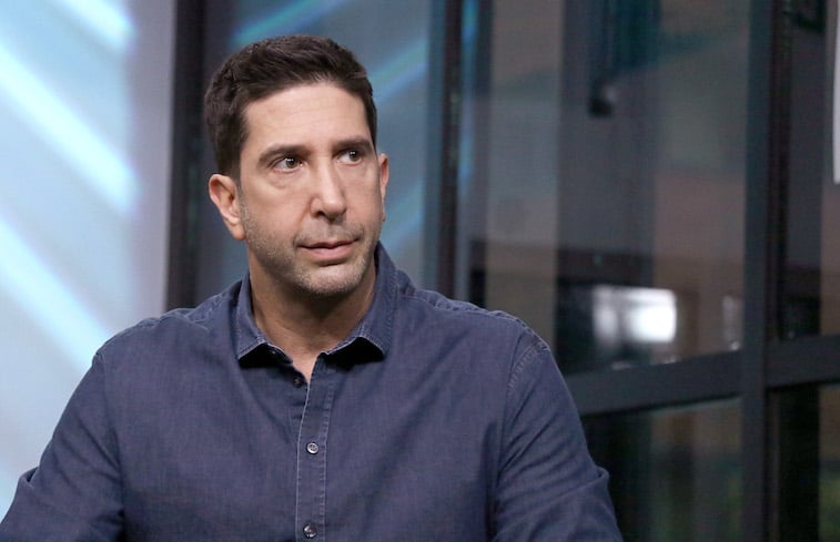 David Schwimmer during an interview