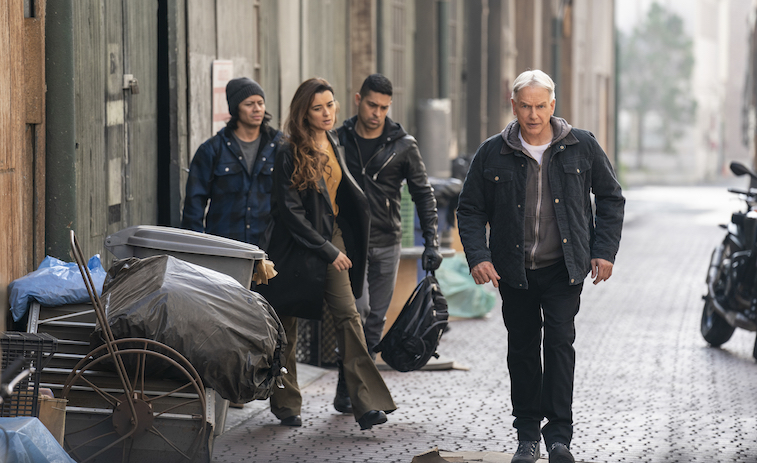 Mark Harmon in NCIS