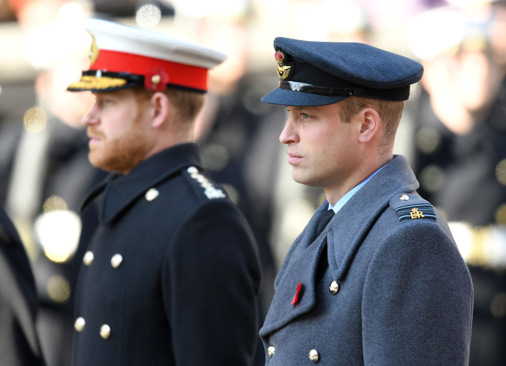 Prince William and Prince Harry at the annual Remembrance Sunday memorial