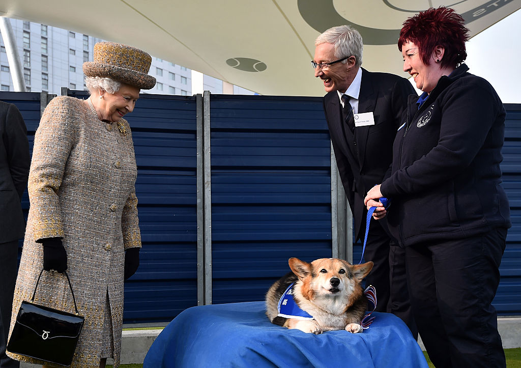 Queen Elizabeth II looks at a corgi dog