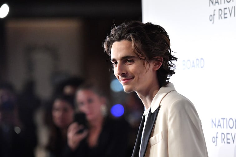 Timothée Chalamet on the red carpet