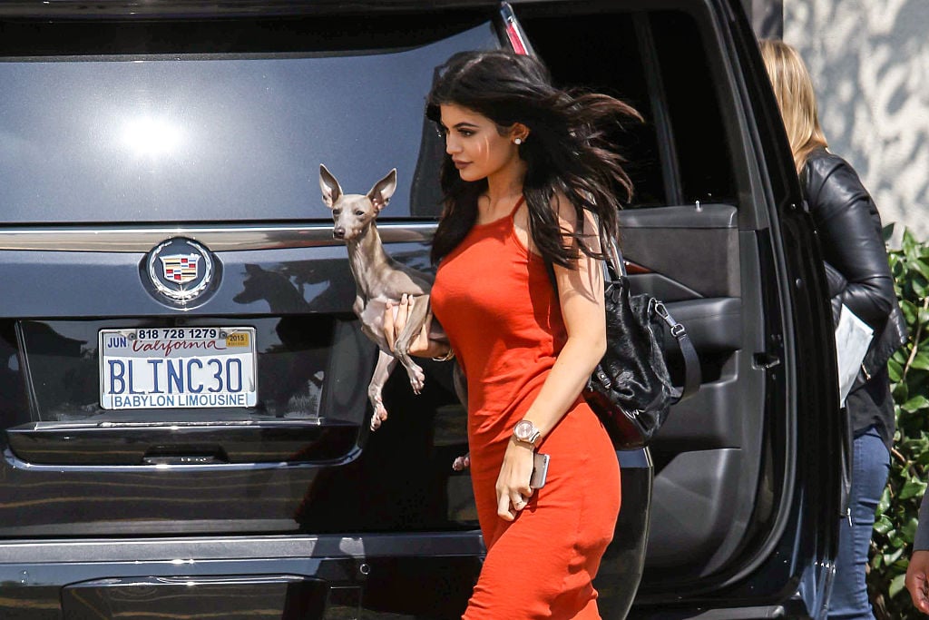 Kylie Jenner and her dog Norman