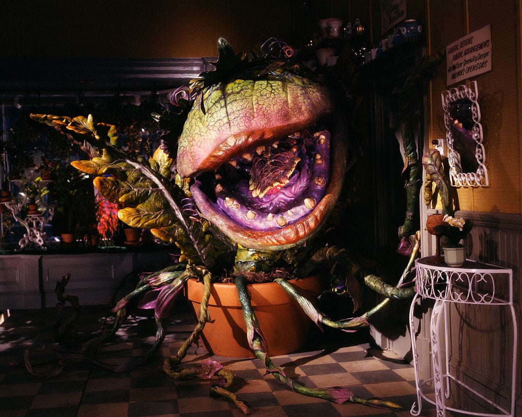 Audrey II from 'Little Shop of Horrors'