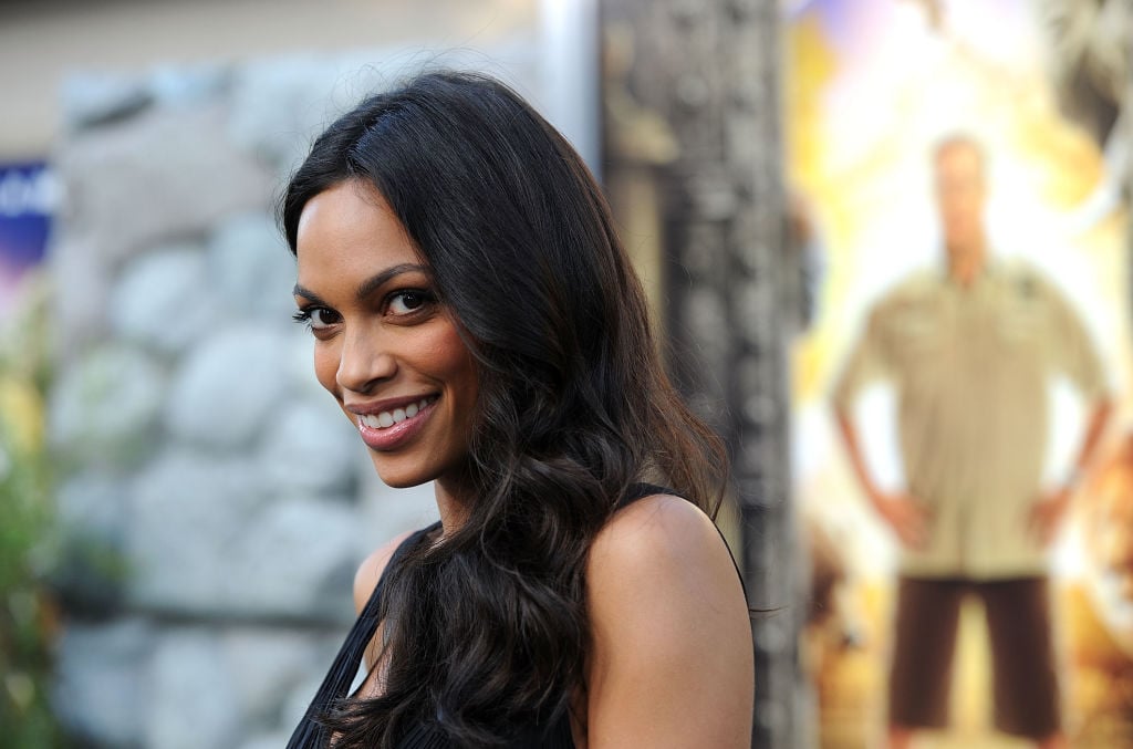 Rosario Dawson arrives at the Premiere of "The Zookeeper" at the Regency Village Theater, Westwood.