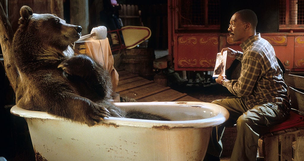 'Dr. Dolittle 2', 2001 | 20th Century-Fox/Getty Images