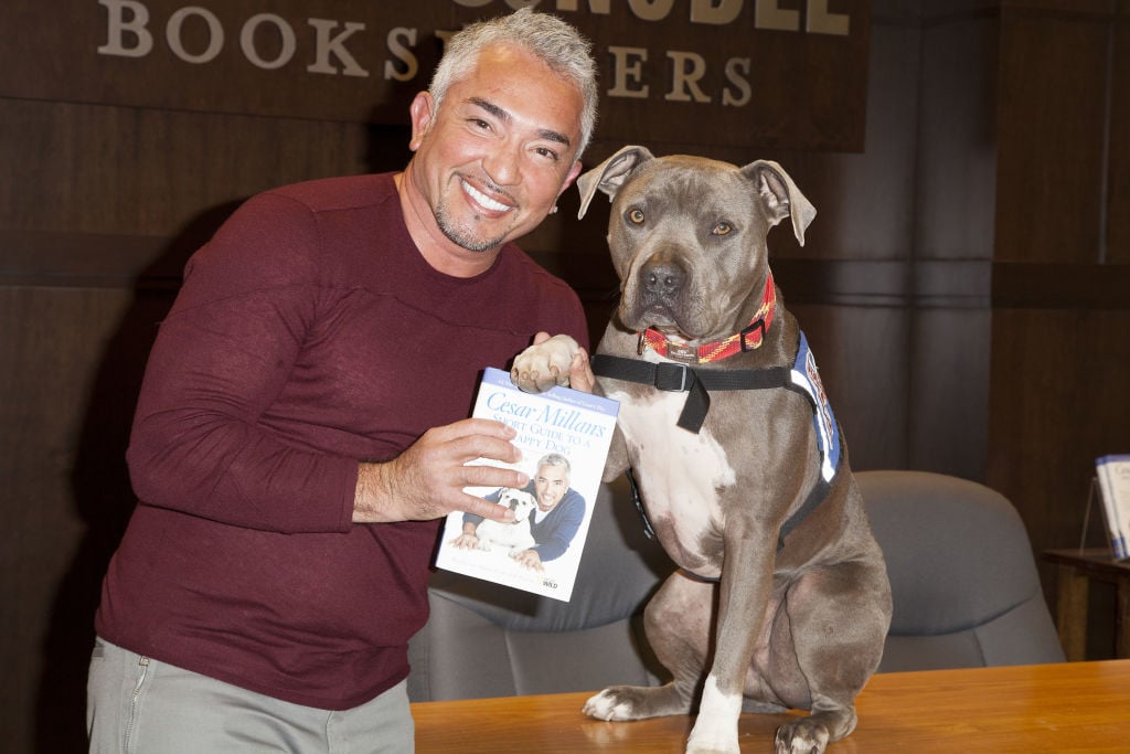 Cesar Millan and friend