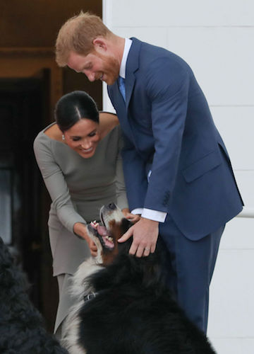 Prince Harry and Meghan Markle