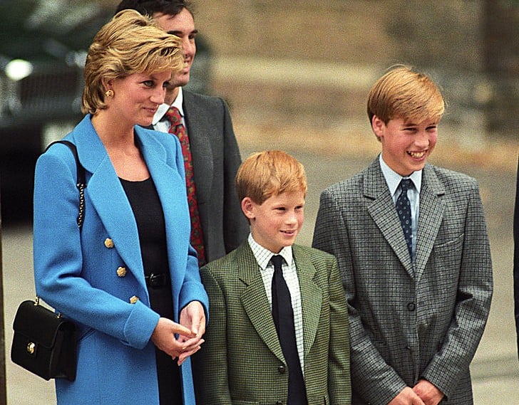 Princess Diana, Prince Harry, and Prince William