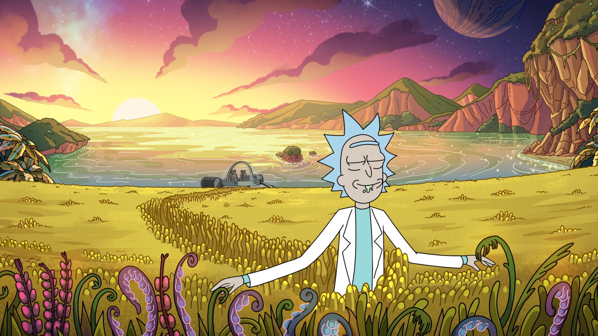 horizon malhonnête noir rick and morty 4 temporada Subvention bord la ...