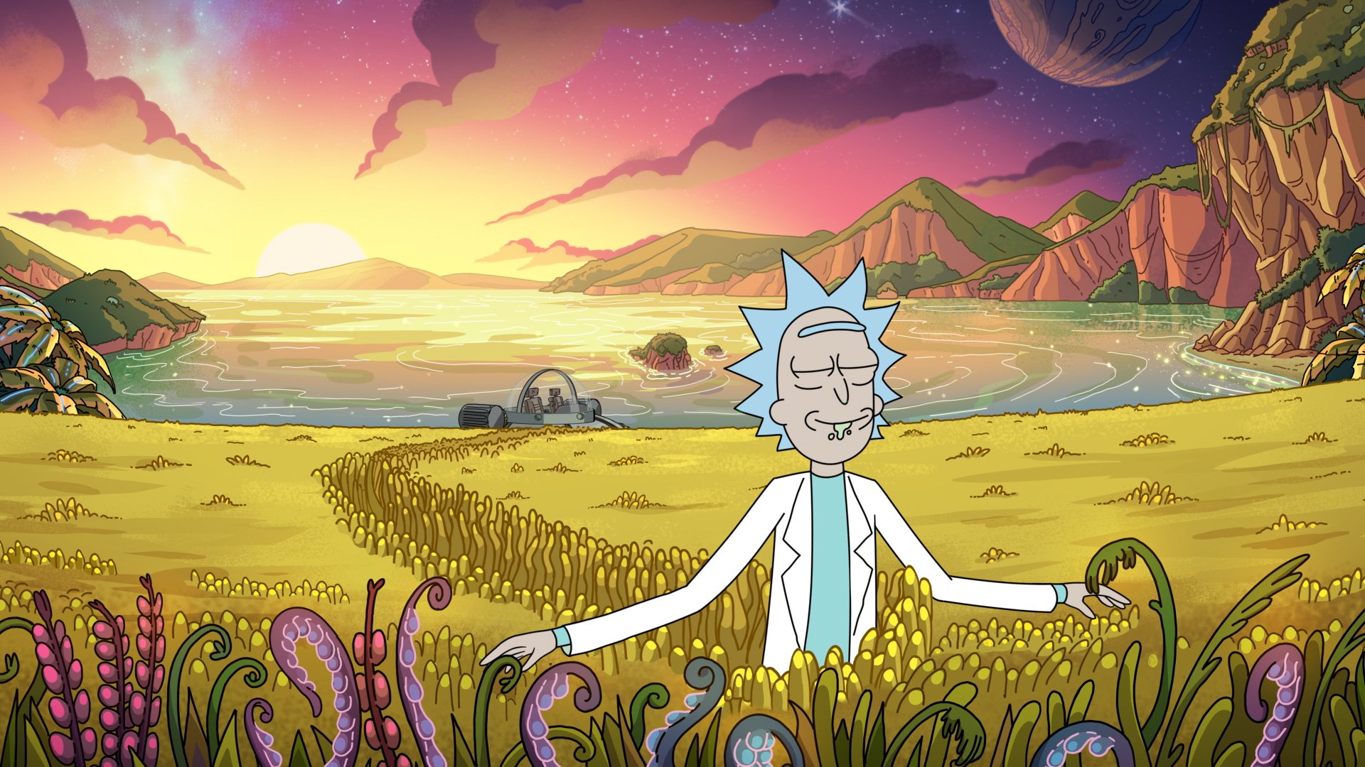 Will Rick and Morty Season 5 Be on Hulu and HBO Max? Heres How to Watch the Adult Swim Series