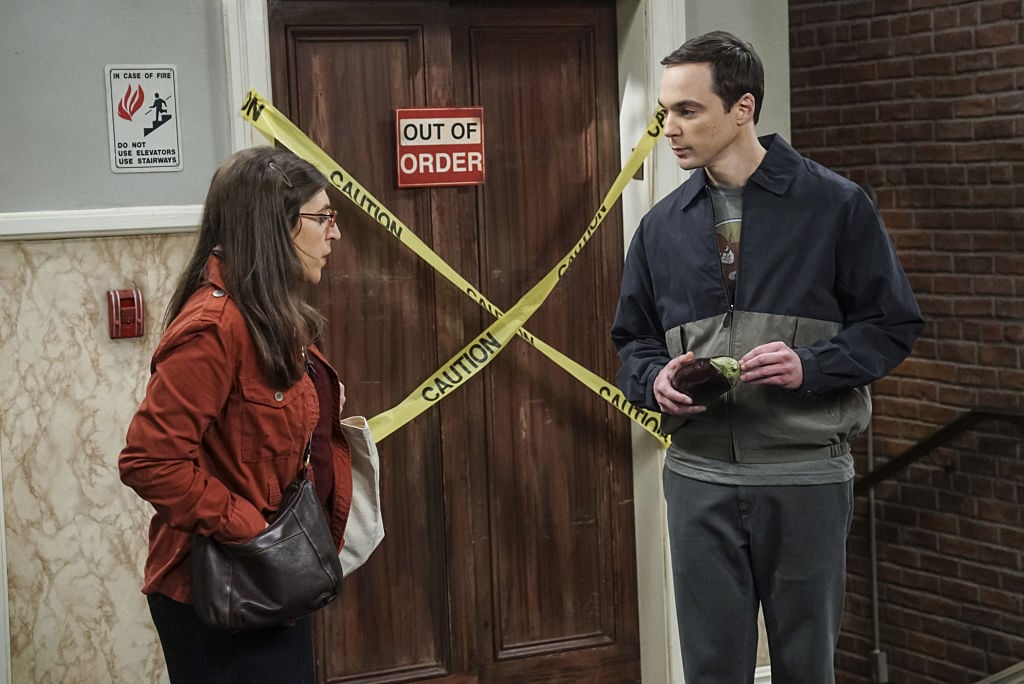 Amy Farrah Fowler (Mayim Bialik) and Sheldon Cooper (Jim Parsons)