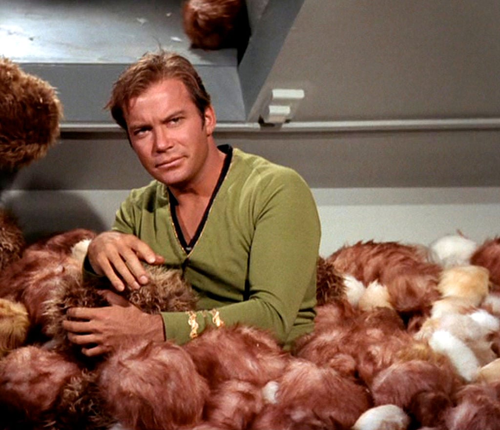 'Star Trek': Why William Shatner Doesn't Want to Play ...