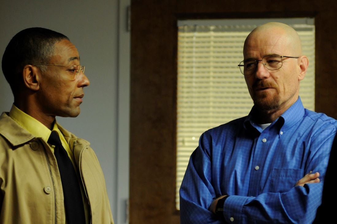 Gus Fring and Walter White