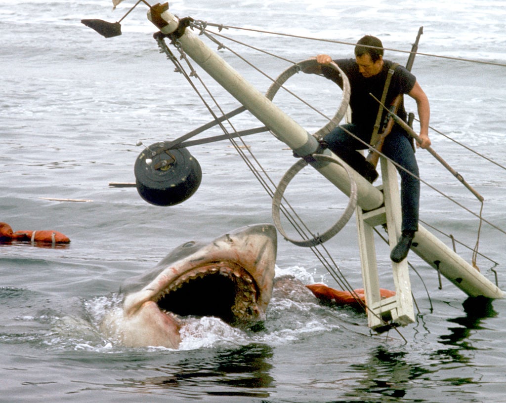 American actor Roy Scheider on the set of Jaws, directed by Steven Spielberg