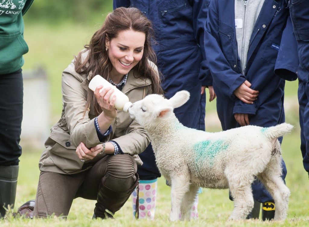 Kate Middleton and a lamb