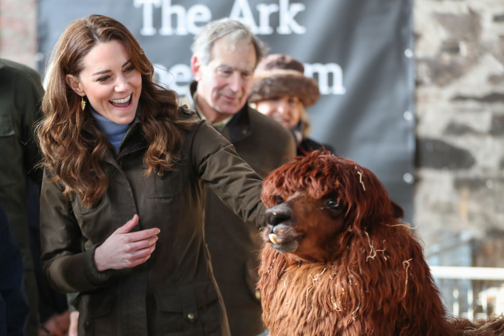 Kate Middleton and an Alpaca