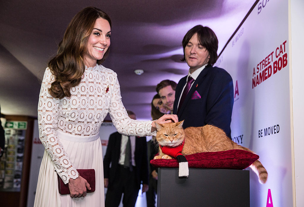 Kate Middleton and a cat