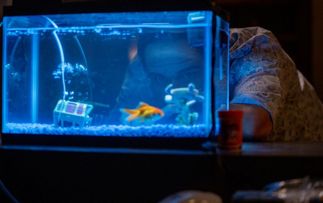 Better Call Saul': Fans See Symbolism Behind the Fish Tank, Especially When  Lalo Kept Aggressively Tapping It
