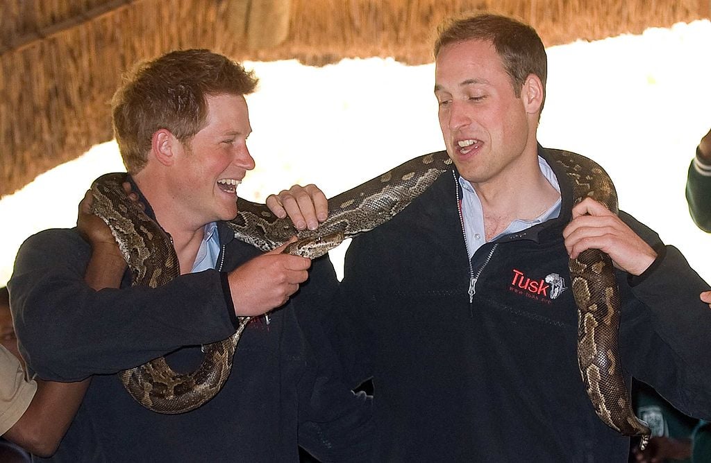 Prince Harry and Prince William holding a snake during a visit to Botswana in 2010