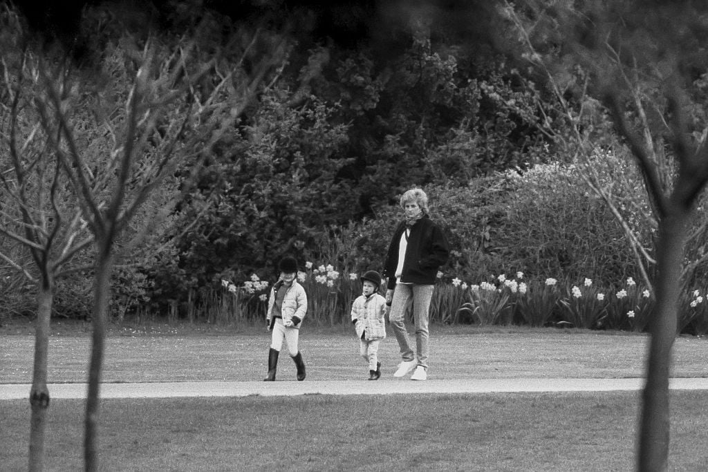 Princess Diana, Prince Harry, and Prince William