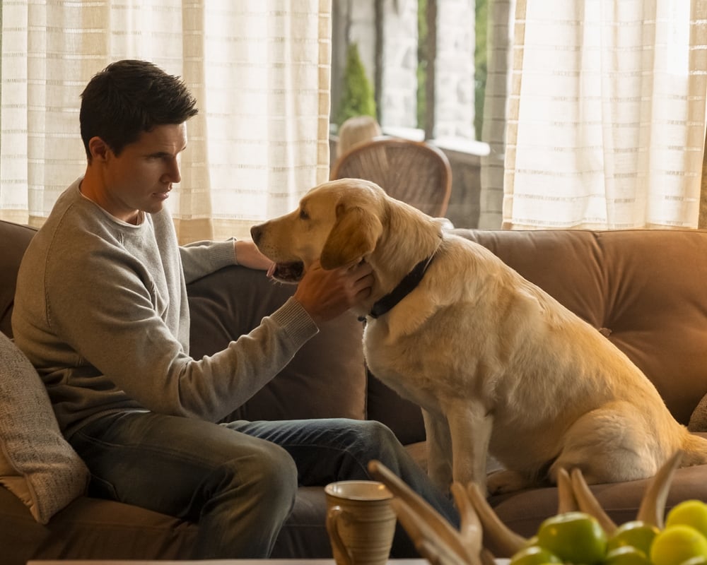Robbie Amell and Dog