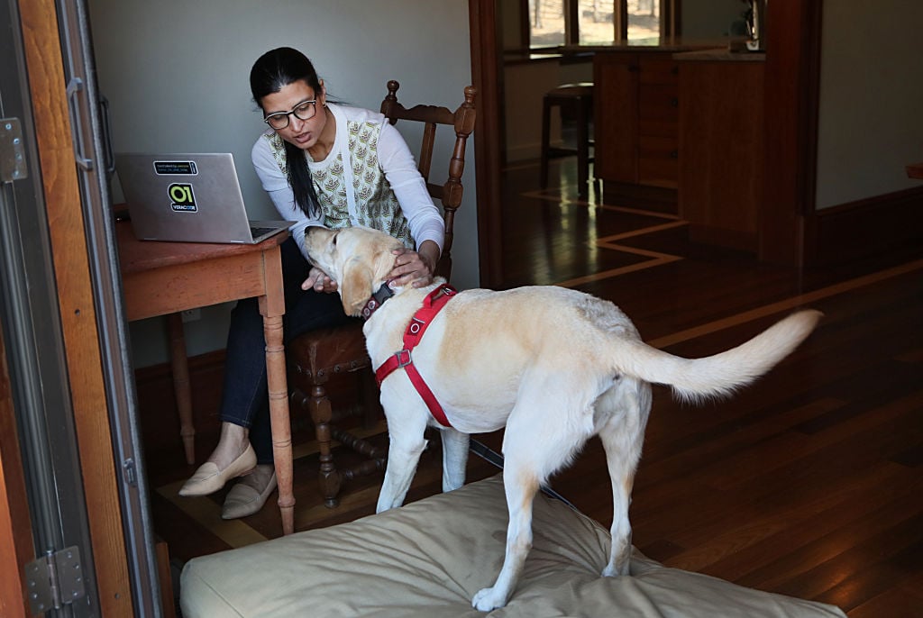 Sam King, CEO of Veracode, working from home