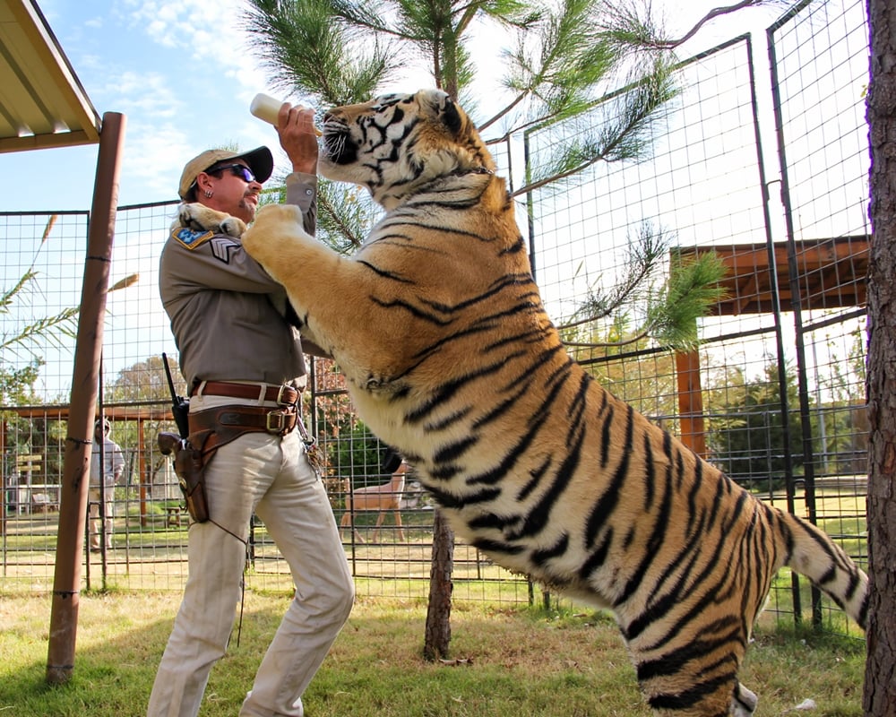 Joe Exotic with a tiger in Tiger King