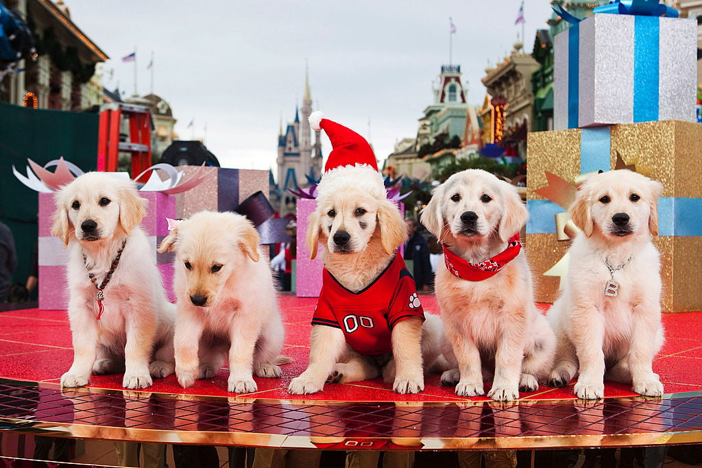 Disney's Santa Buddies