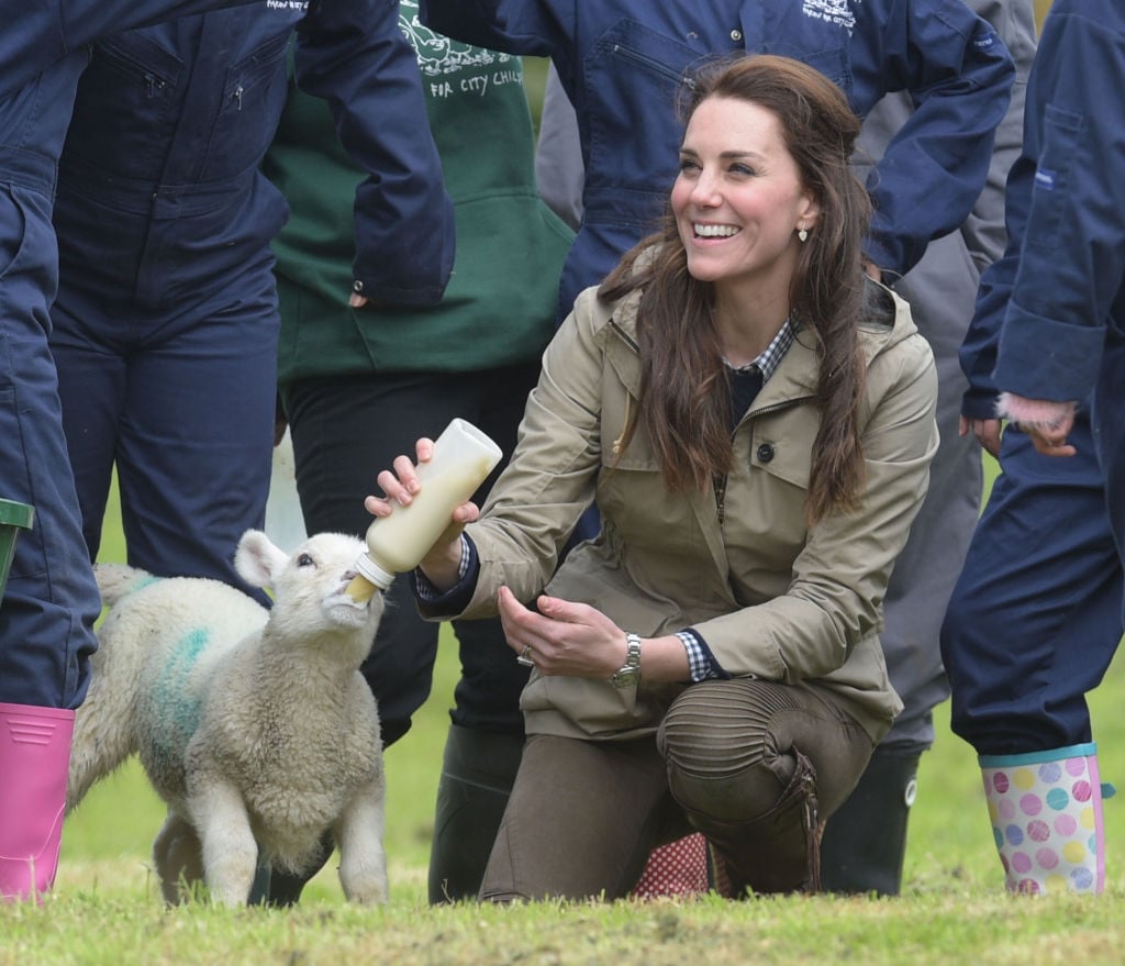 Kate Middleton feeds a lamb