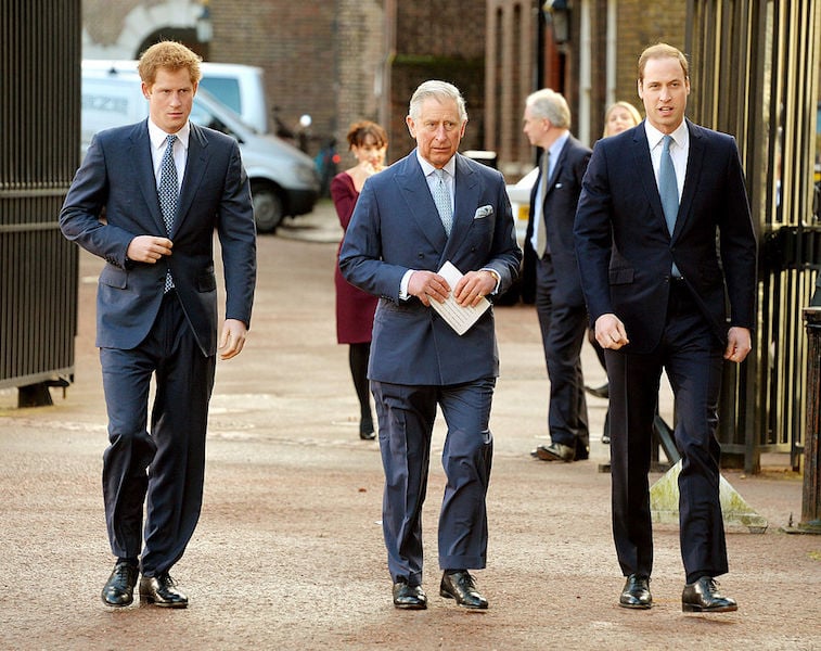 Prince Harry alongside Prince Charles and Prince William in 2014 