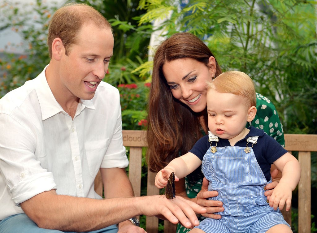 Prince William and Kate Middleton show Prince George a butterfly