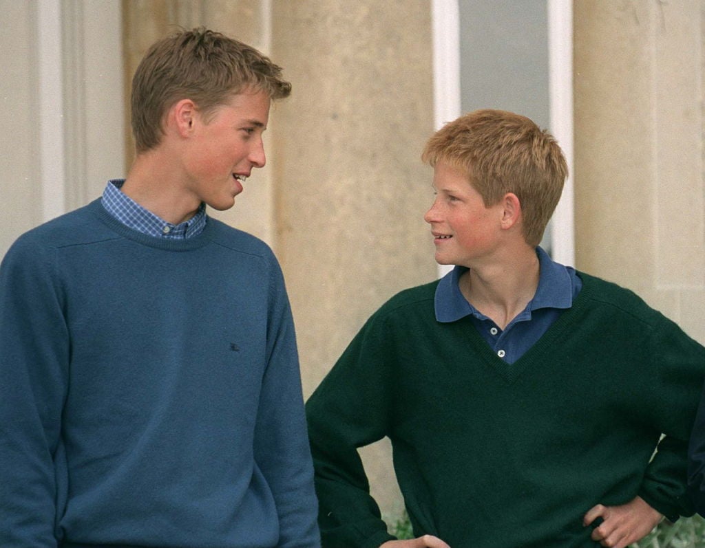 Prince William and Prince Harry at Highgrove