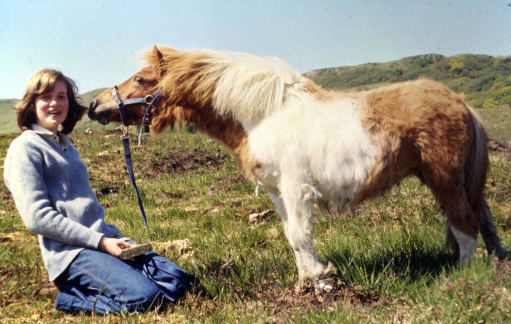 Princess Diana sits in the grass with a pony
