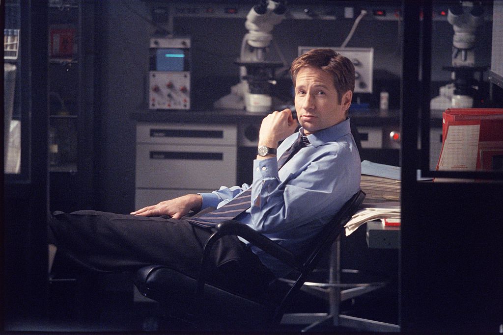 Agent Mulder in The X Files
