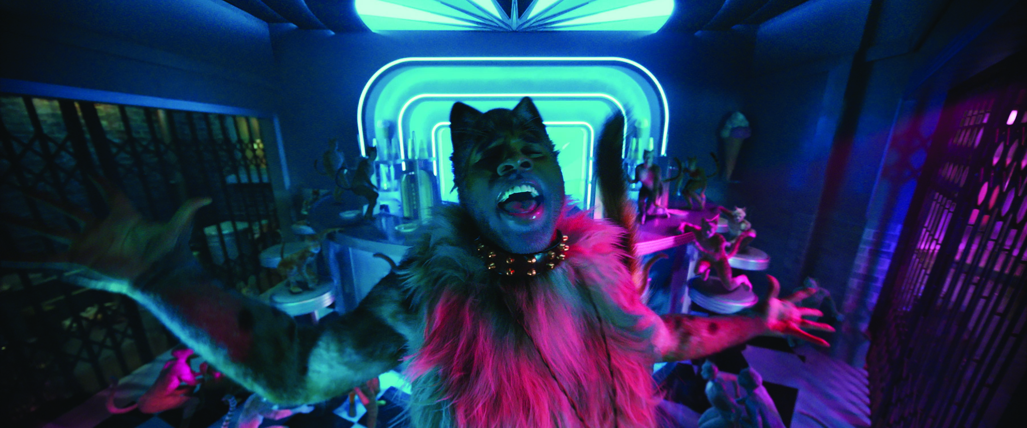 Cats: Jason Derulo